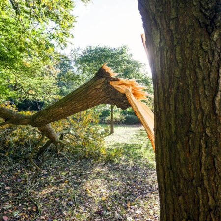 Ugniagesiai tęsia stichijos sukeltų padarinių šalinimą