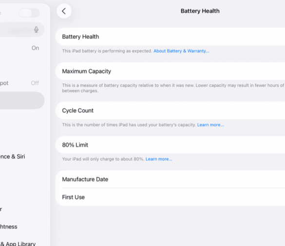 „Apple“ nerodo akumuliatoriaus būklės senesniuose „iPad“ – štai kaip tai patikrinti
